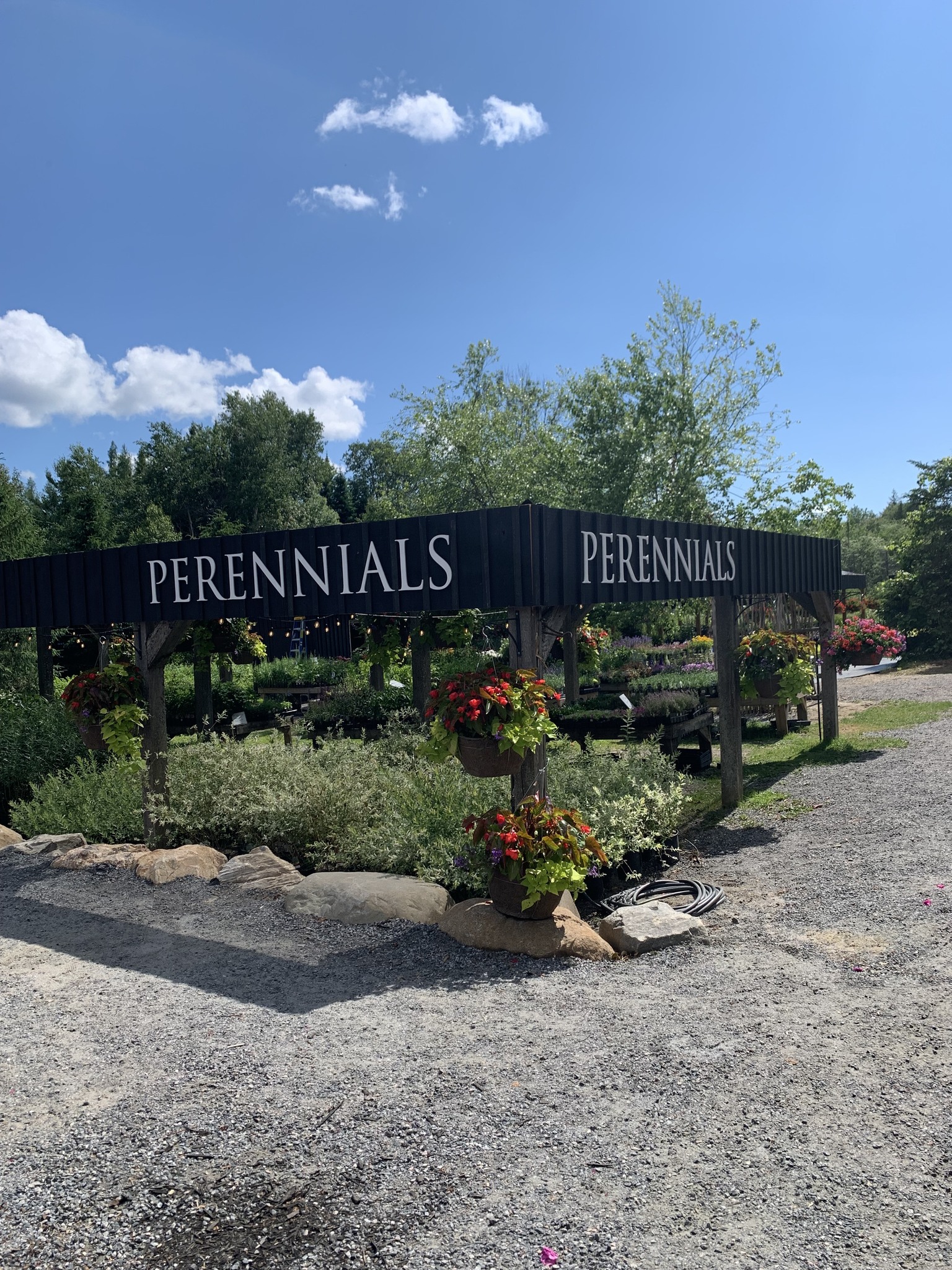 406515633_848868733912456_456677175105624025_n